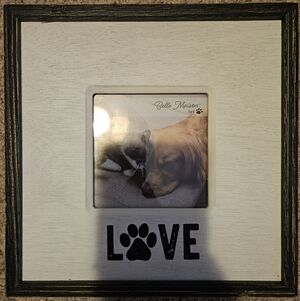 Pet Pawprint Love 4x4 Picture Frame